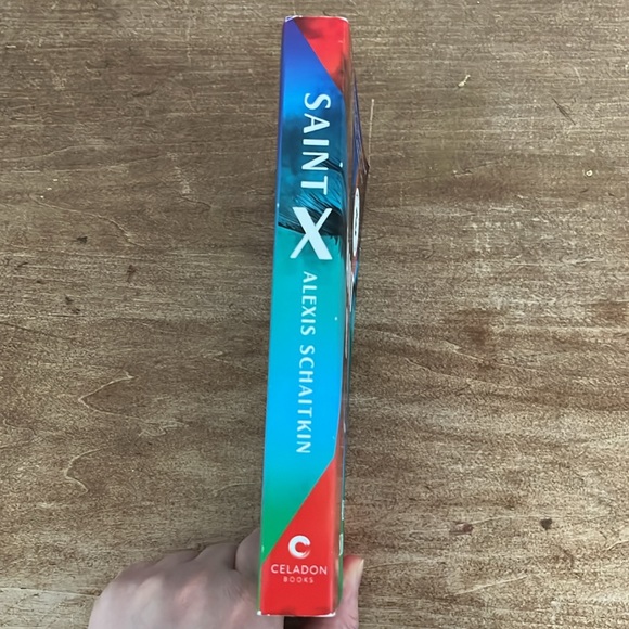 6/$30 Saint X by Alexis Schaitkin paperback book - Picture 3 of 5